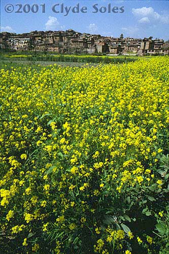 Bhaktapur